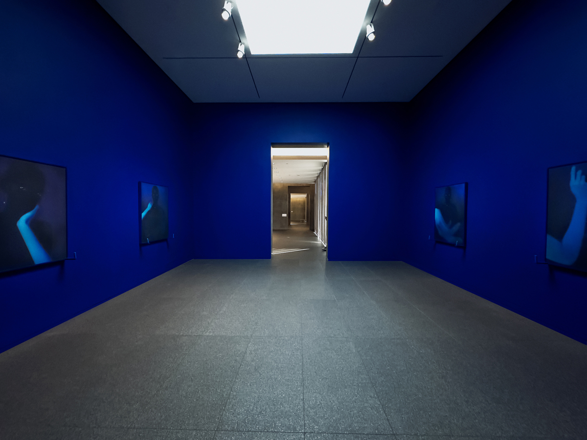 Installation view of a museum show showing wall artworks in a room painted deep blue. Curated by Maria Elena Ortiz.