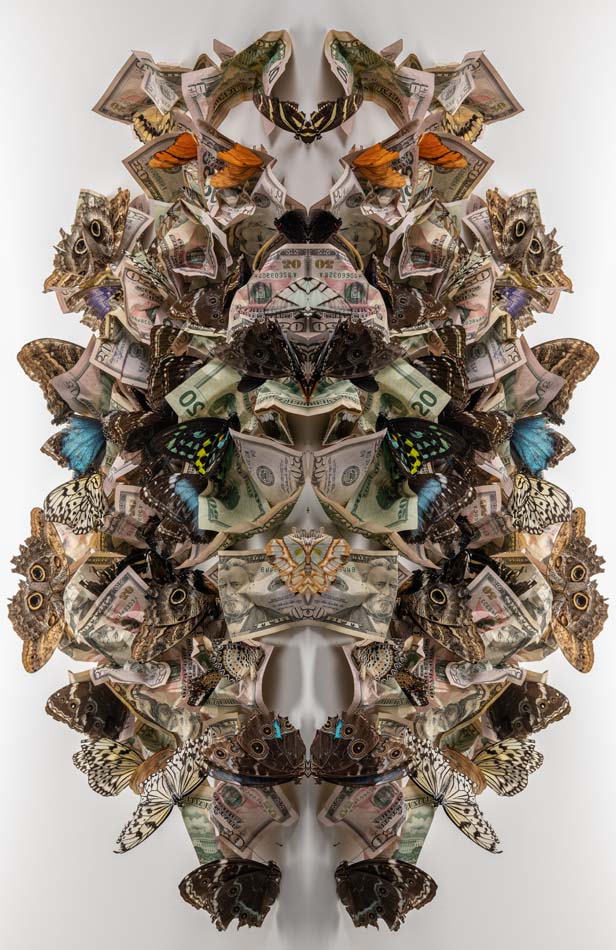 Bi-onomics, by Cindee Klement, is a mirrored, Rorschach-like image of butterflies and dollar bills.