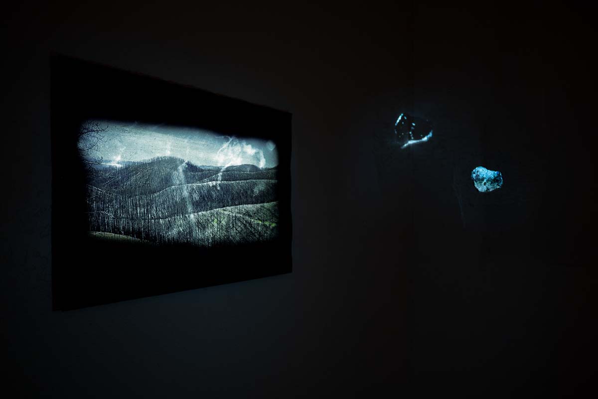 Video projection in a dark room of the post-fire landscape of Hermit's Peak / Calf Canyon.