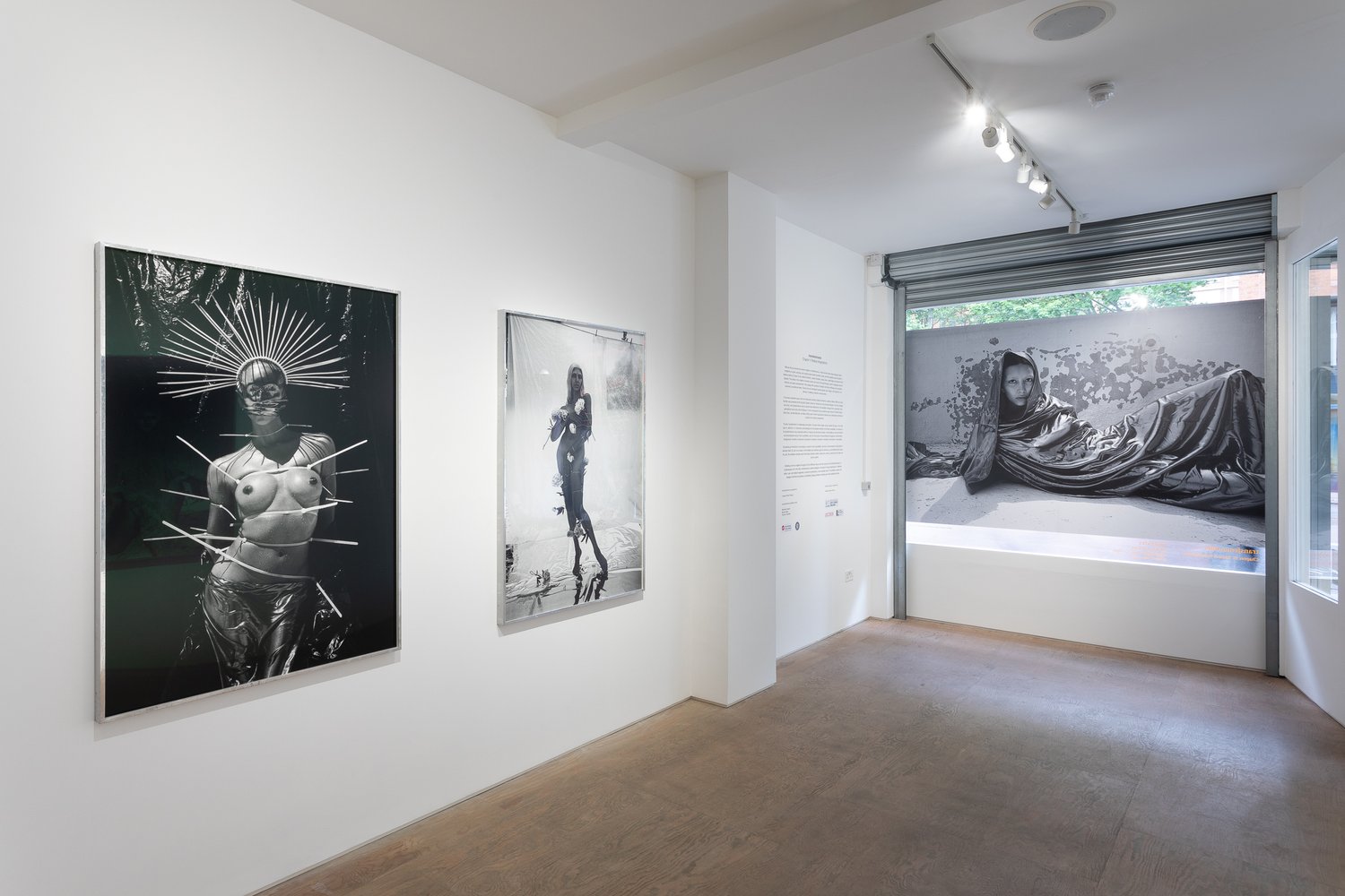 Installation view of Mimosa House's transfeminisms show, which subsequently traveled to SMoCA in Arizona.