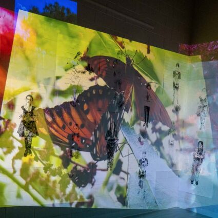 The Power of Collective Action, by Cindee Klement, a multimedia immersive installation with layered images of butterflies and aquatic life and monotype portraits of the students interacting with plants, roots, and soil.