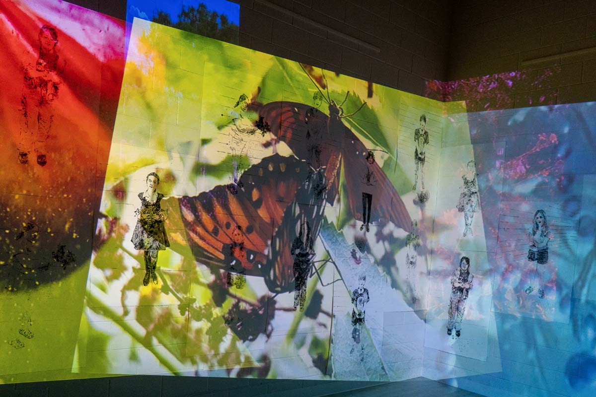 The Power of Collective Action, by Cindee Klement, a multimedia immersive installation with layered images of butterflies and aquatic life and monotype portraits of the students interacting with plants, roots, and soil.