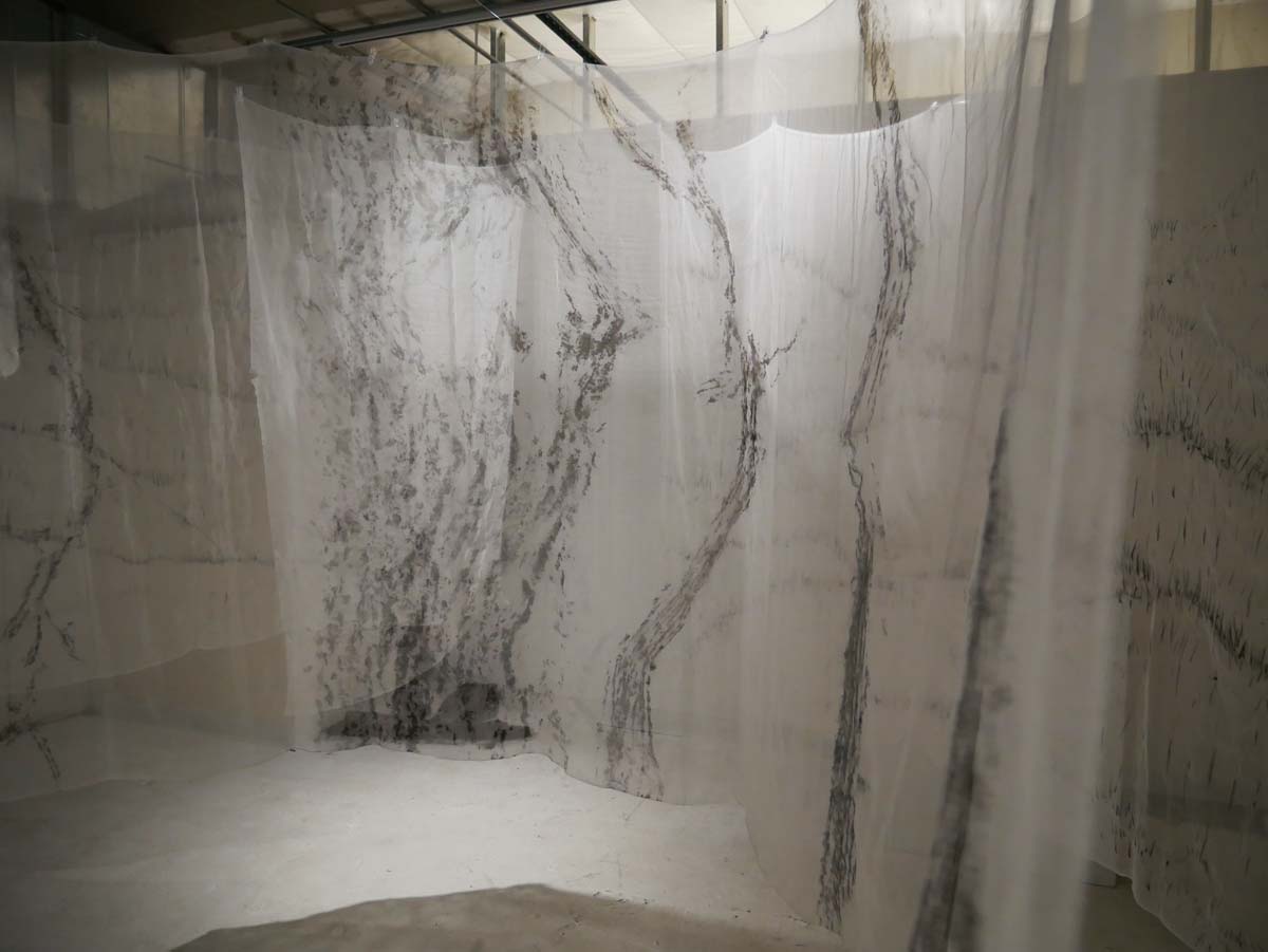 Jess Lanham, The Process of What’s Left, an installation of charcoal rubbings from burned trees on hanging white silk.
