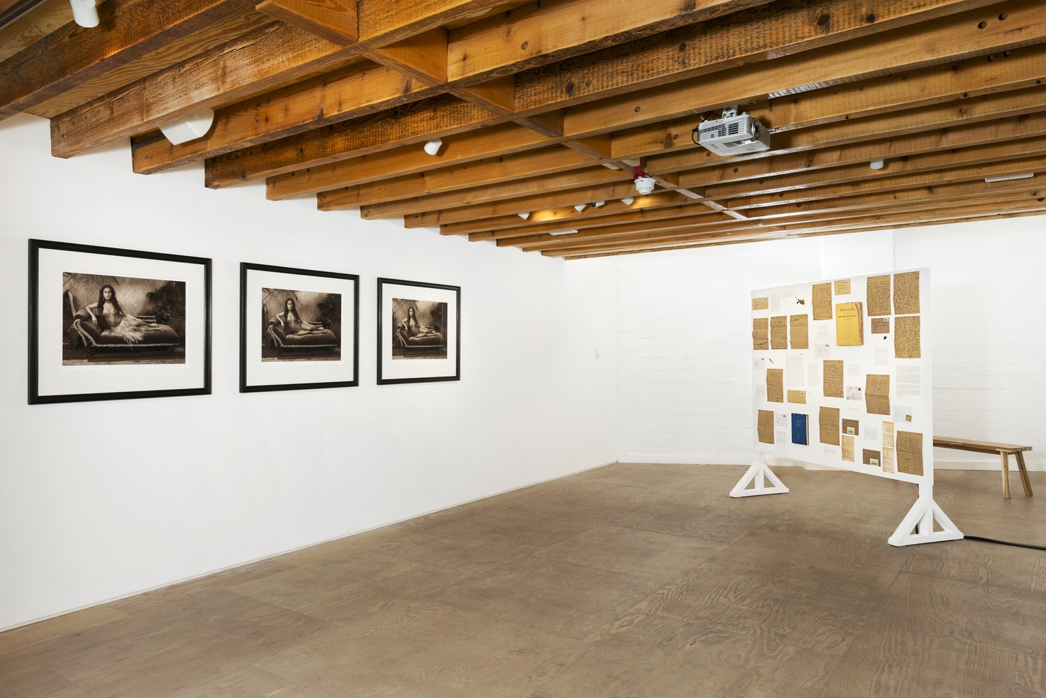 Installation view of Mimosa House's transfeminisms show, which subsequently traveled to SMoCA in Arizona.