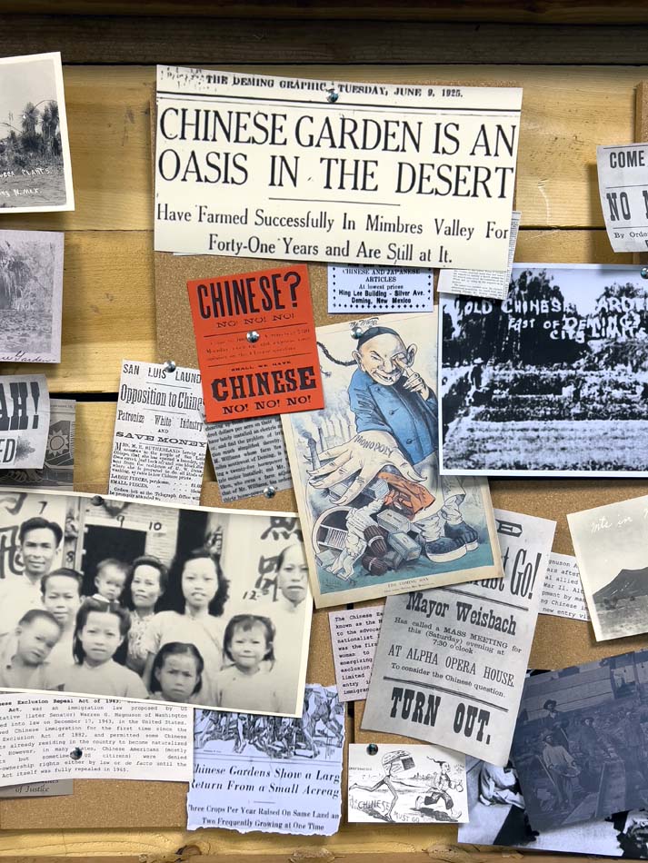 Newspaper clippings, racist caricatures, and photographs about Chinese residents of New Mexico.