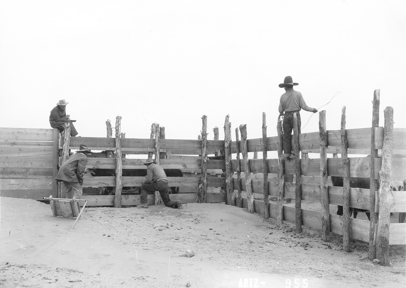 Historical photograph by Milton Snow of Navajo men perched on a fence, counting cattle. Maxwell Museum of Anthropology in Albuquerque is working with the Navajo Nation Museum to fill in the gaps outside the frame.