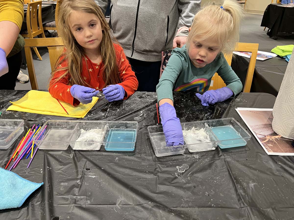 Children cleaning corrosion off of pennies with salt and vinegar at the Roswell Public Library.