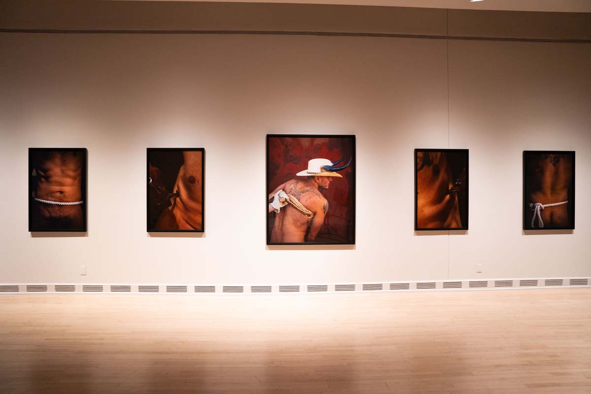 Installation view of five photographs in the show Jose Villalobos: Rough Rider.