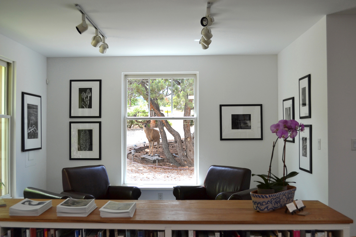 Scheinbaum & Russek Ltd. gallery space.