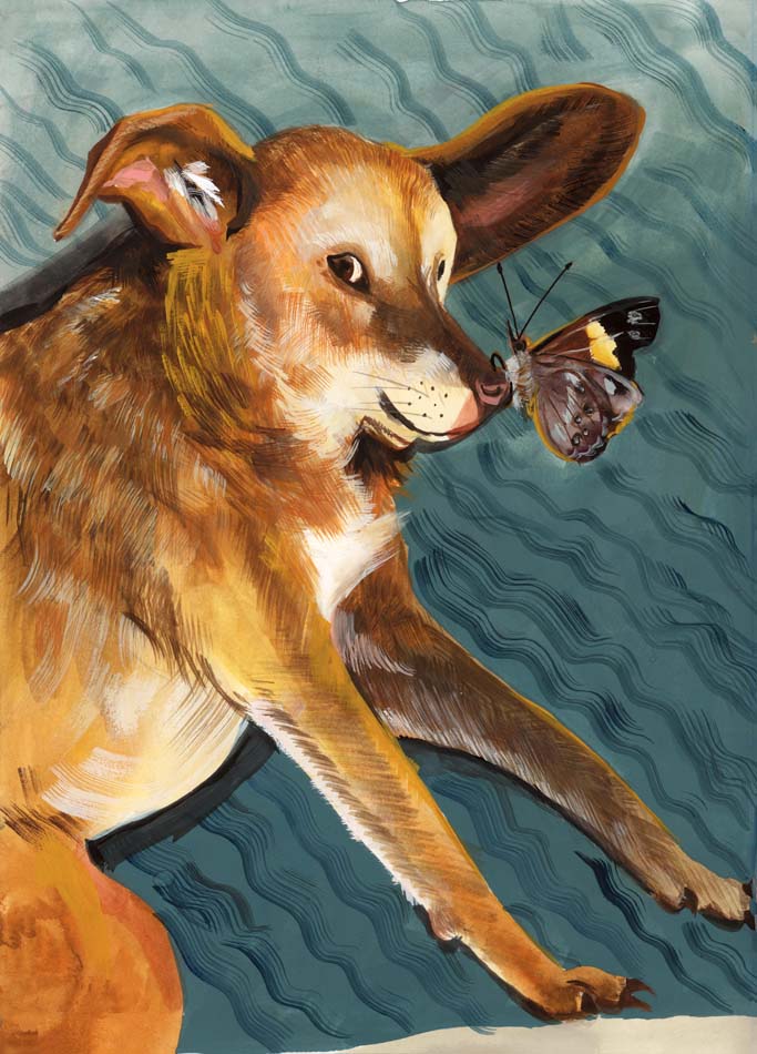 Gouache painting of a dog with a butterfly on its nose.