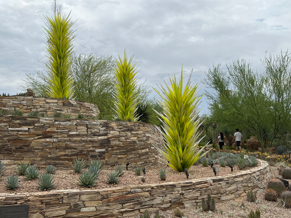 Towering green glassworks by Dale Chihuly at a botanical garden in Phoenix. Guide to contemporary art in Southwest Botanical Gardens.