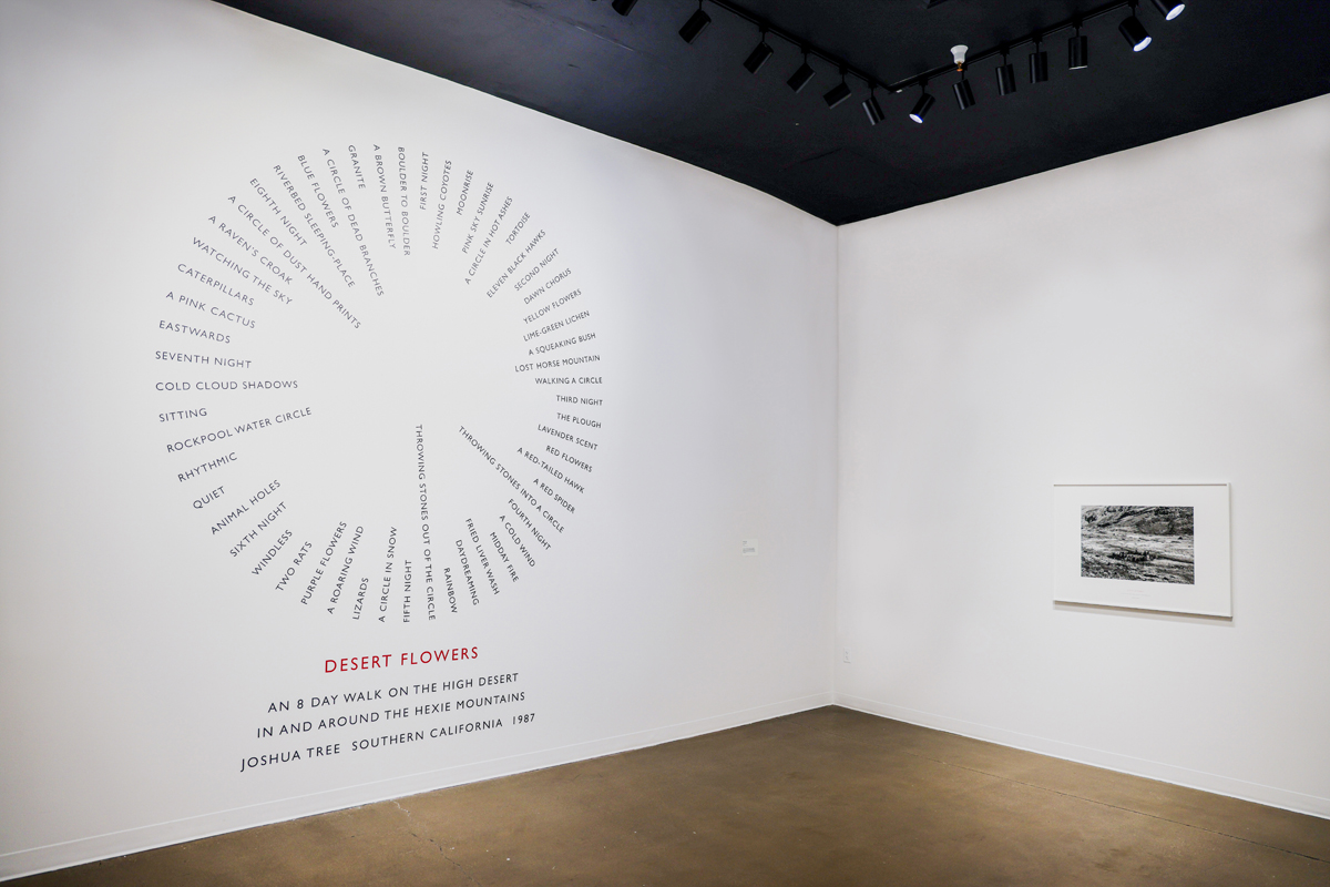 Installation view of Step After Step at Kimball Art Center.