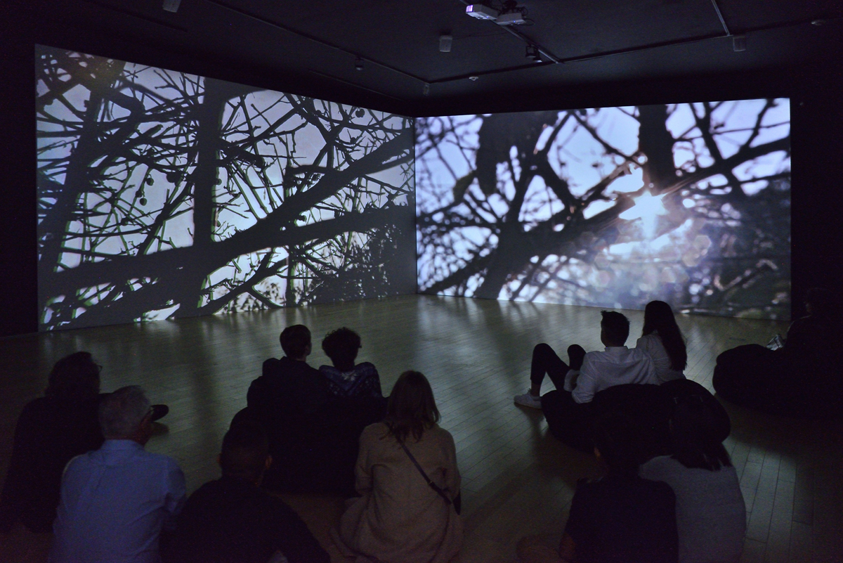 Installation view of a video artwork by Erick Meyenberg, curated by Gabriela Rangel.