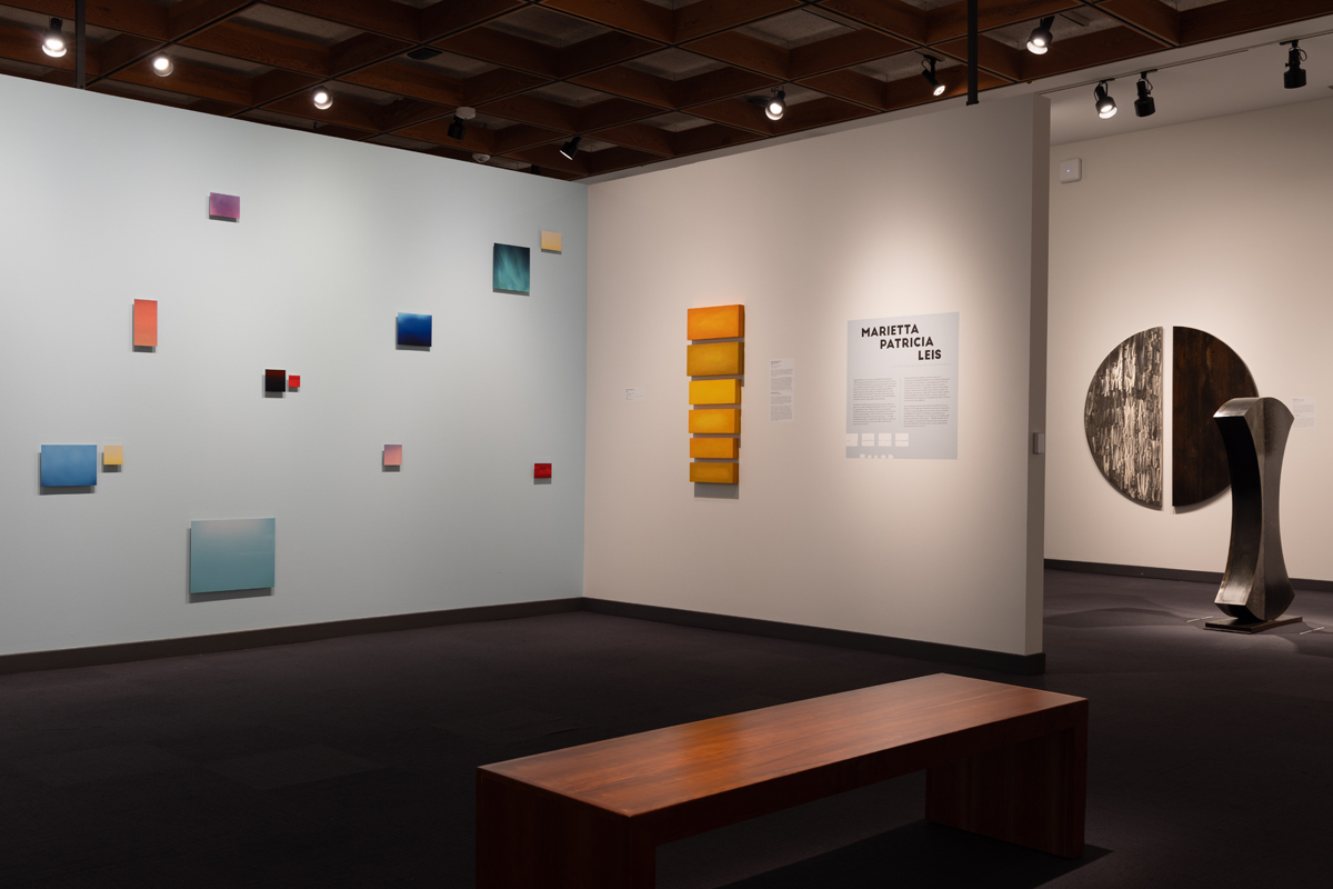 Installation view of Abstracting Nature at Albuquerque Museum.