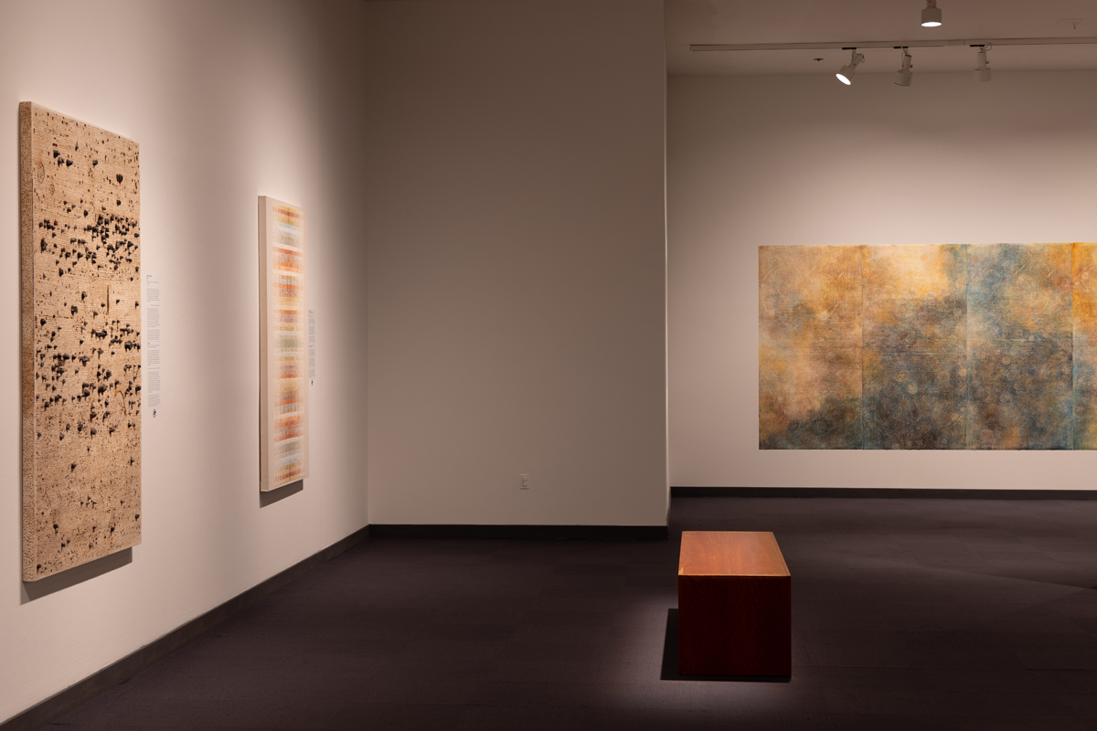 Installation view of Abstracting Nature at Albuquerque Museum.