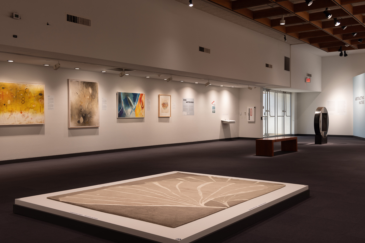 Installation view of Abstracting Nature at Albuquerque Museum.