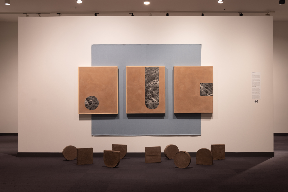 Mixed-media adobe installation by Joanna Keane Lopez, part of Abstracting Nature at Albuquerque Museum.