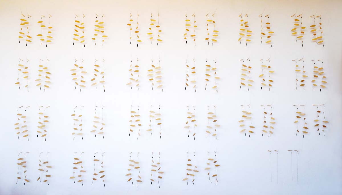 Installation view of an arrangement of tall tumble mustard leaves and stems by c marquez.