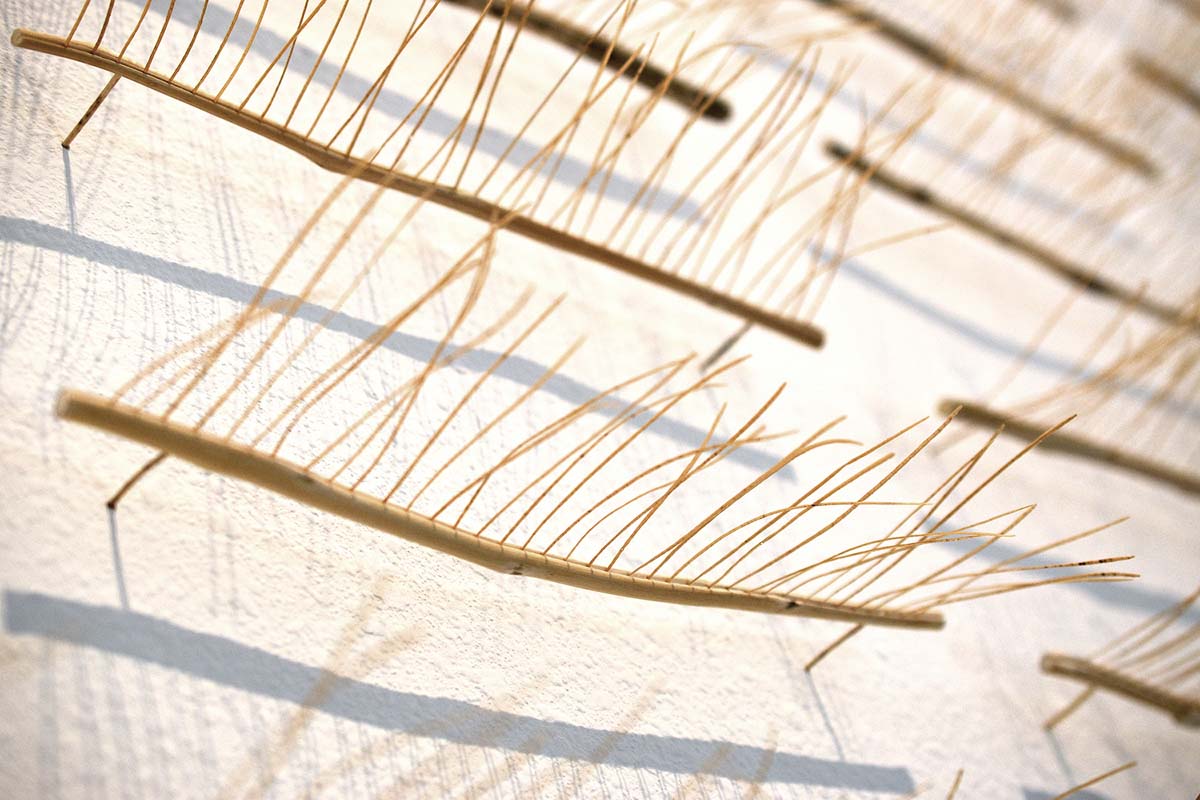 Detail view of arrangement of tall tumble mustard by c marquez.