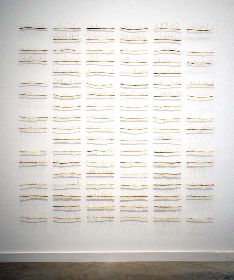 Work by c marquez of short lengths of tall tumble mustard arranged in an almost grid just off the wall.