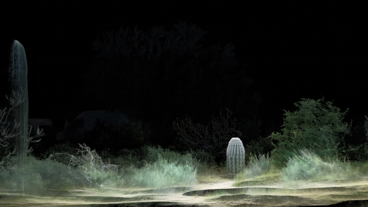 Framerate: Desert Pulse at Desert Botanical Garden in Phoenix is just one exhibition heating up the winter art season in the Southwest Contemporary Arizona Art Guide.