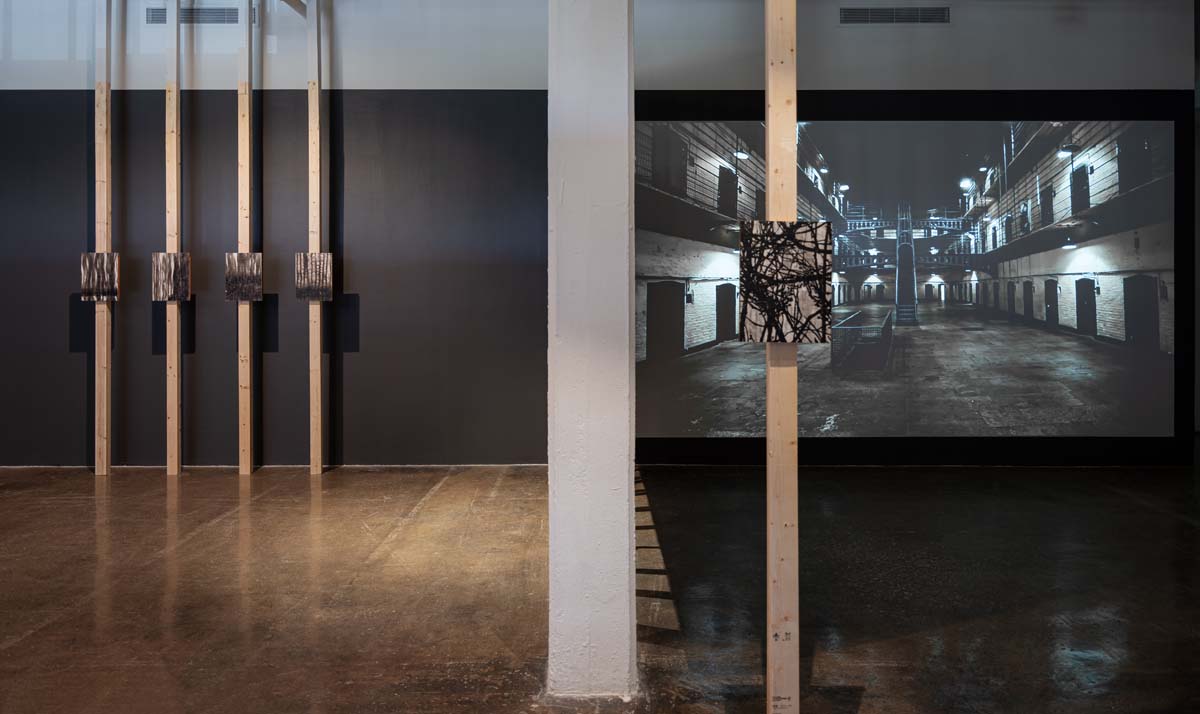 Installation view of In the Shadows Our Ghosts Lurk (En Las Sombras, Nuestros Fantasmas Acechan with works by Daniel Monroy Cuevas and Oswaldo Ruiz