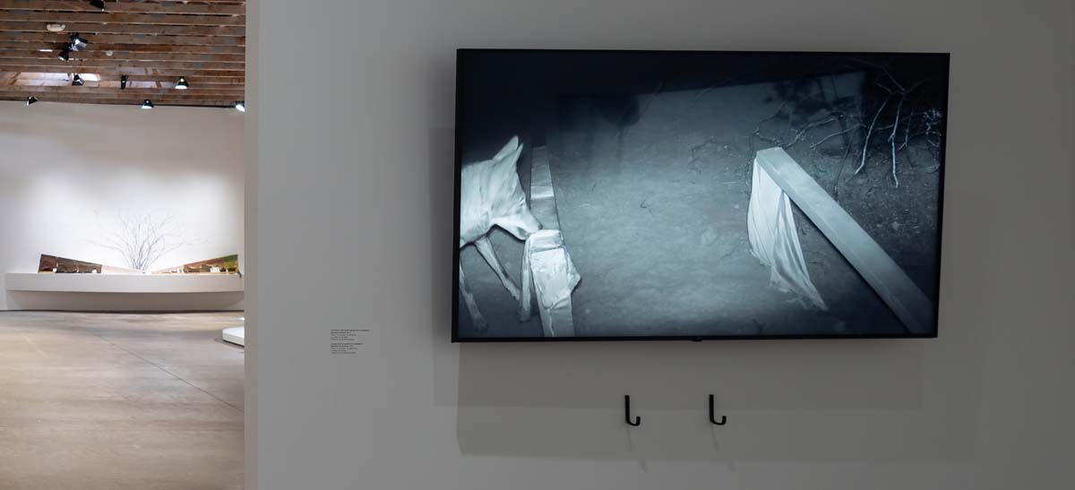 James Perkins, <i>Burying Painting</i>, installation view, Scottsdale Museum of Art, 2025. 