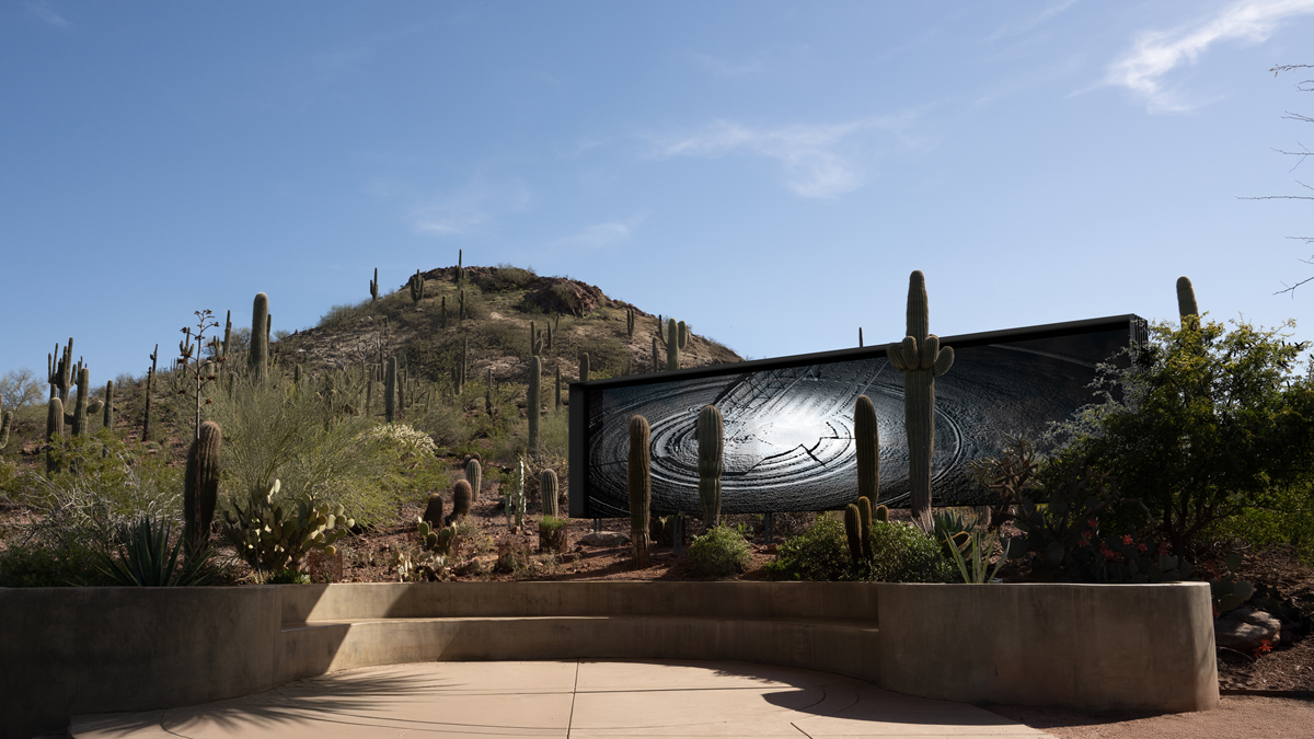 Installation view of Framerate: Desert Pulse, a high-tech imaging project at Desert Botanical Garden in Phoenix.