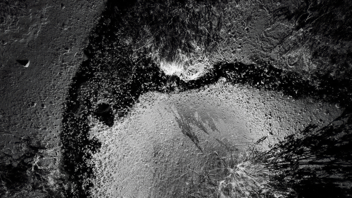 LiDAR scan of a desert wash in Phoenix, part of the new ScanLAB show at Desert Botanical Garden.
