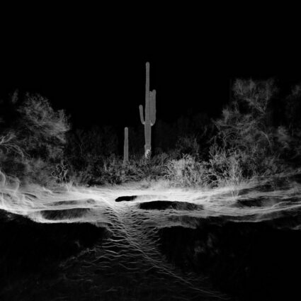 LiDAR scan of a desert landscape in Phoenix, part of the new ScanLAB show at Desert Botanical Garden.