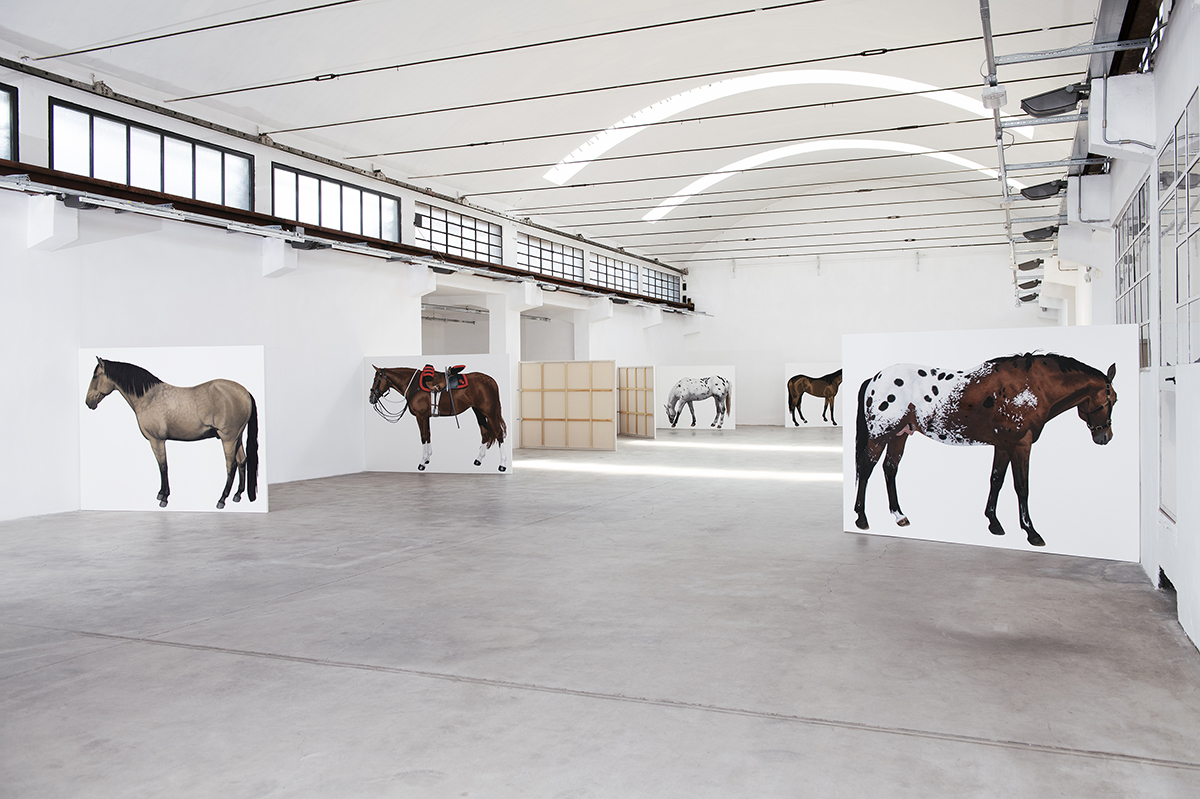 Lara Nickel's participation in the 2026 Malta Biennale is just one of the top Southwest Art News January headlines.