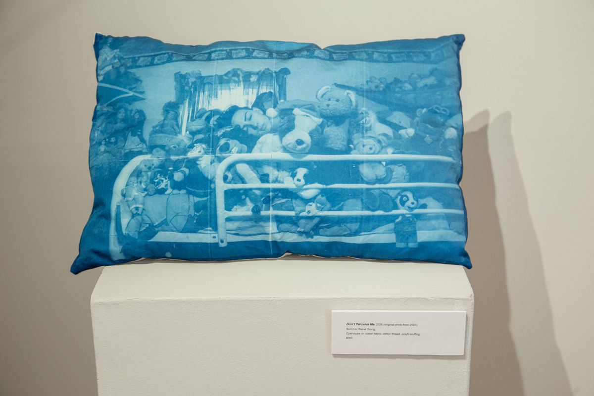 Soft sculpture by Summer Raine Young featuring a self-portrait cyanotype of the Phoenix-based artist nestled among plush toys.