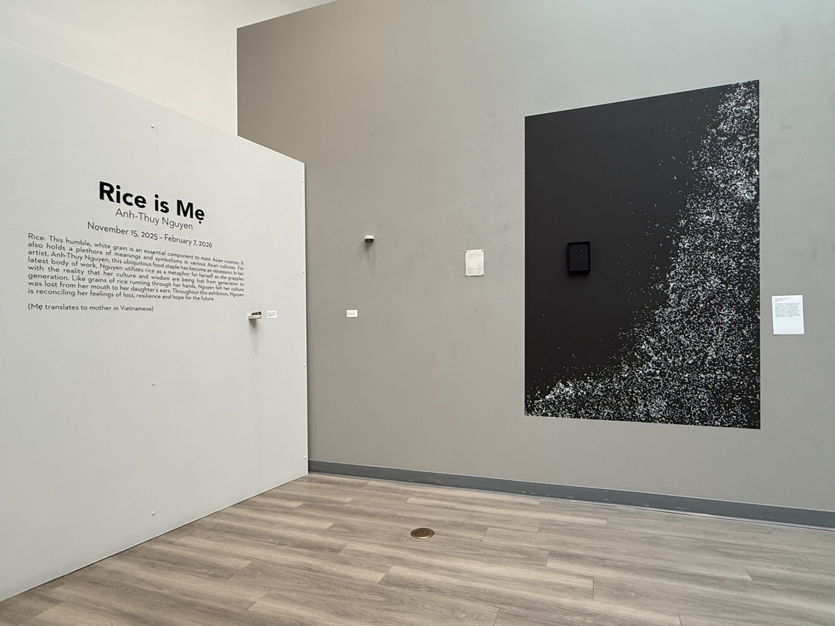 Installation view of Anh-Thuy Nguyen's Rice is Me at Chandler Center for the Arts.