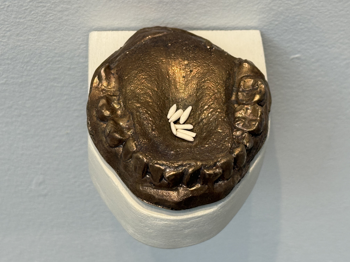 Sculpture showing a casting of part of a mouth with grains of rice nestled in it.