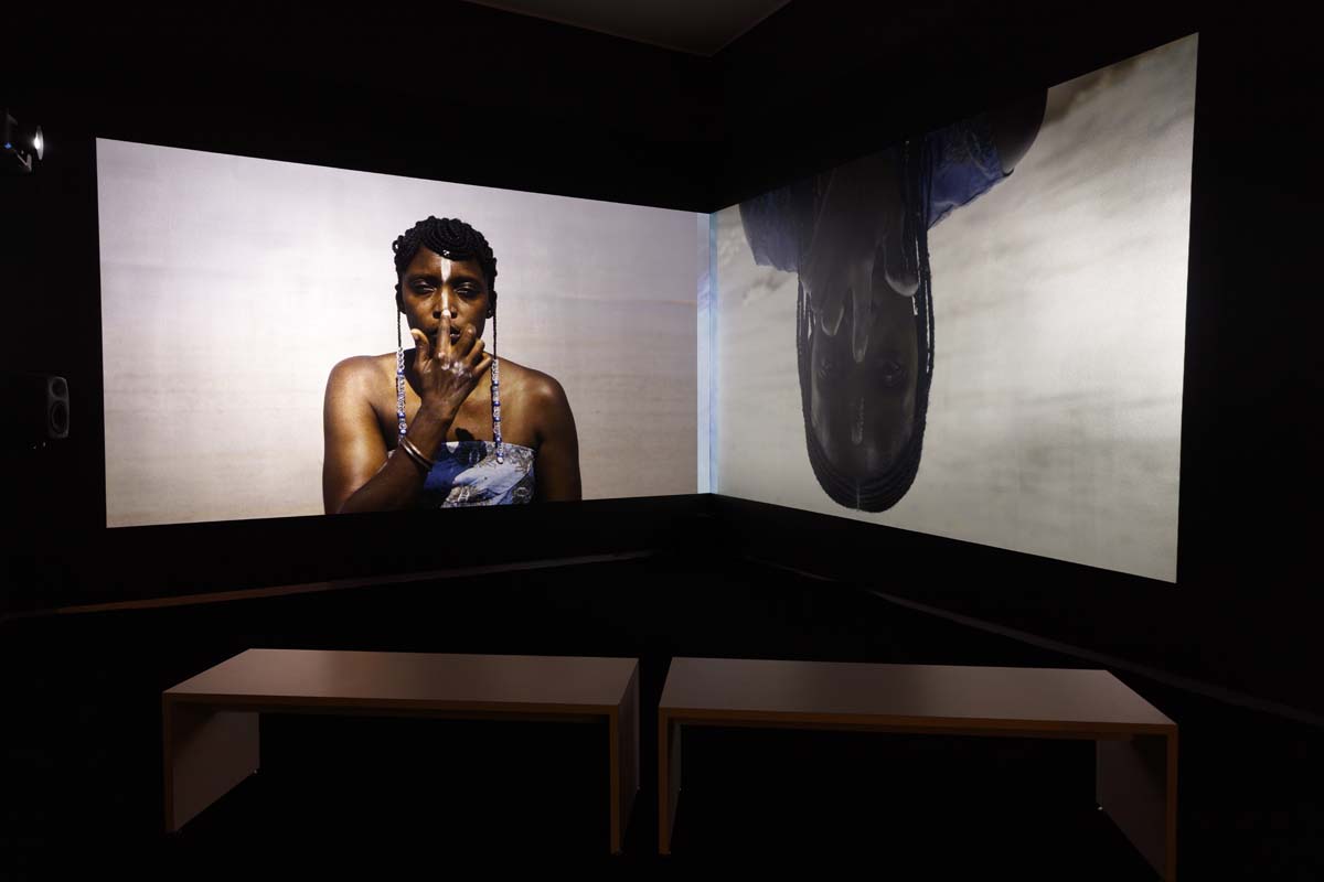 two channel video installation view of Vibrations from the Deep