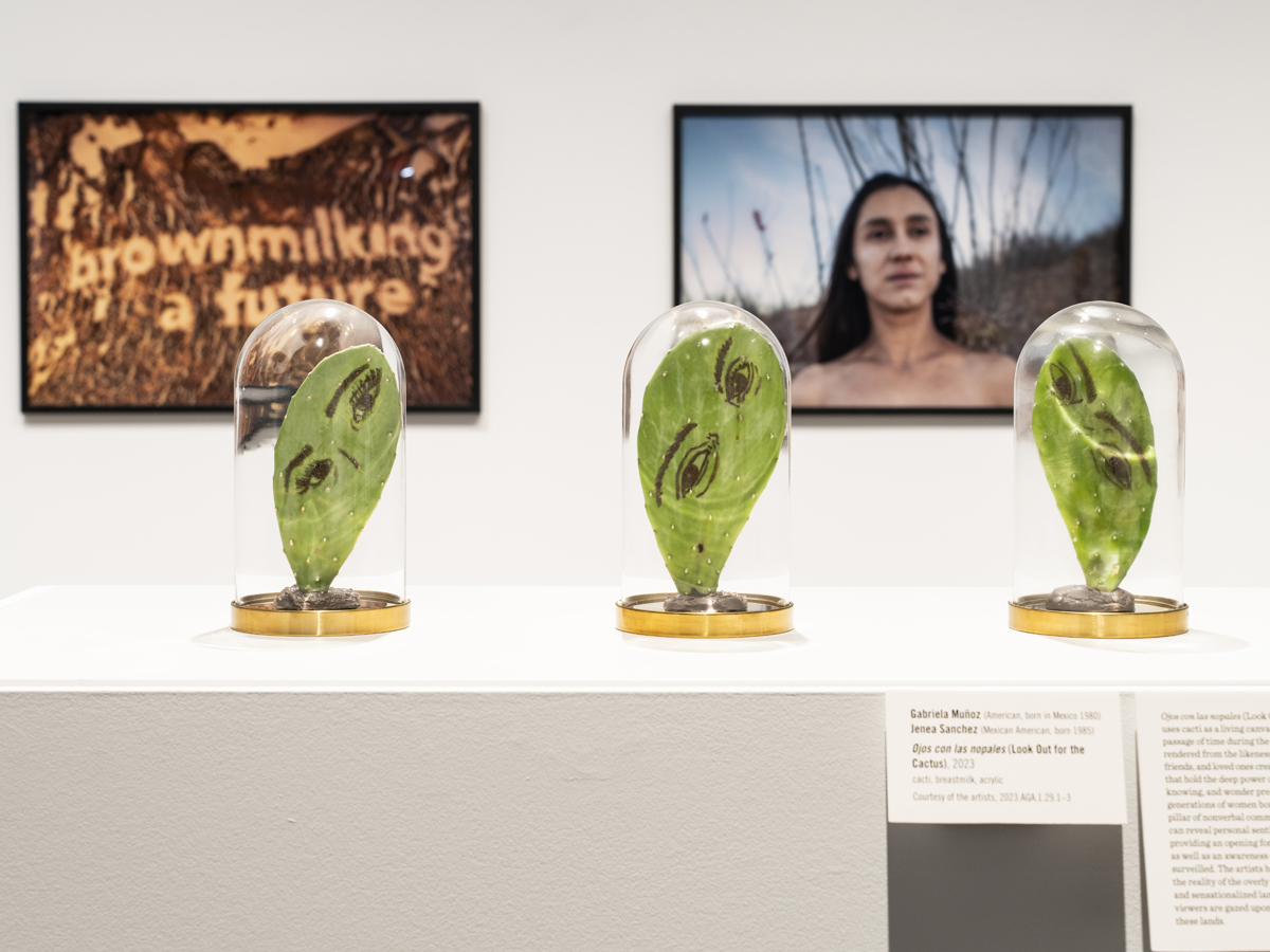 Installation view of an exhibition at Phoenix Art Museum.