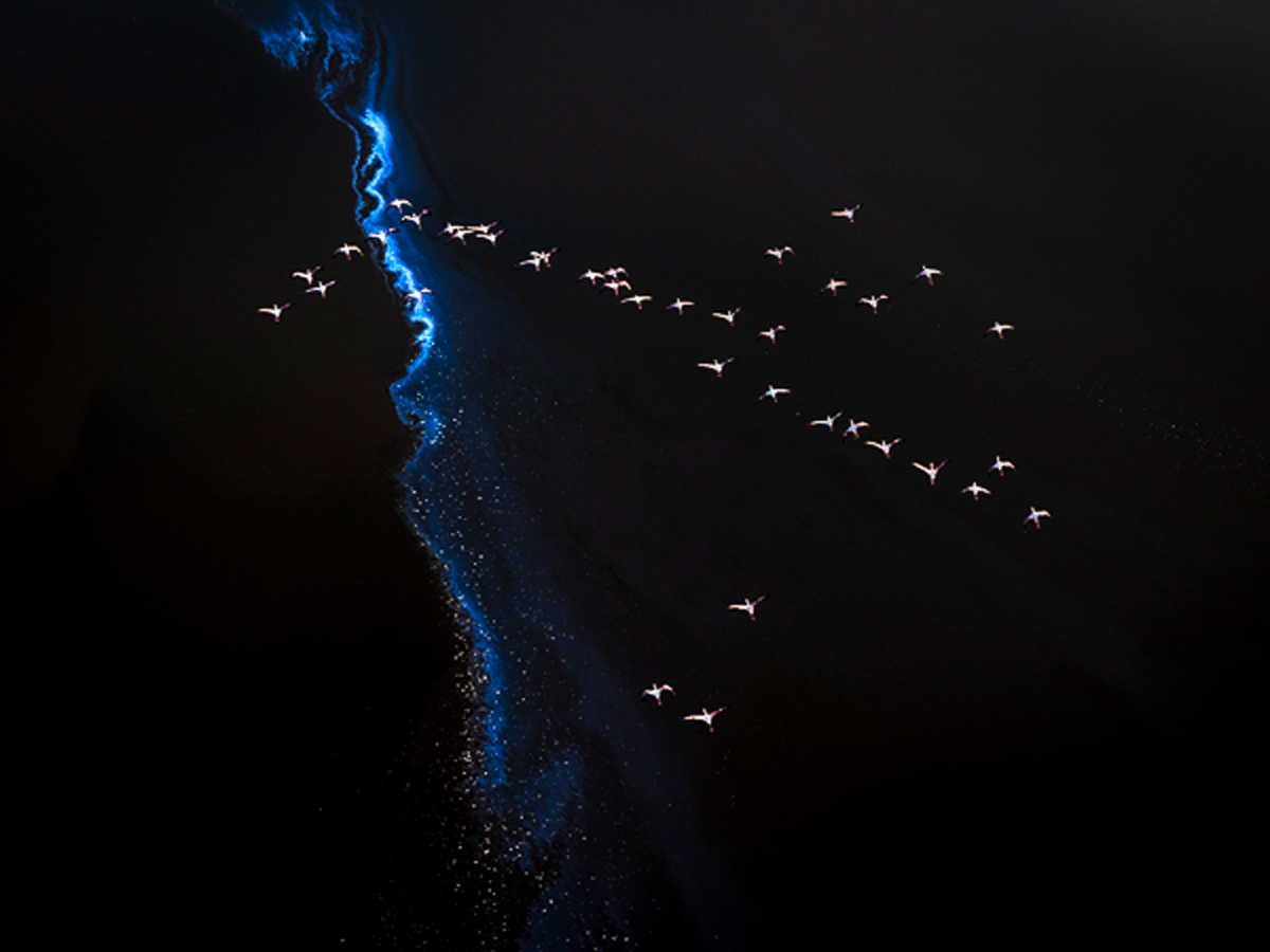 Artwork by Jon McCormack on view at Center Santa Fe