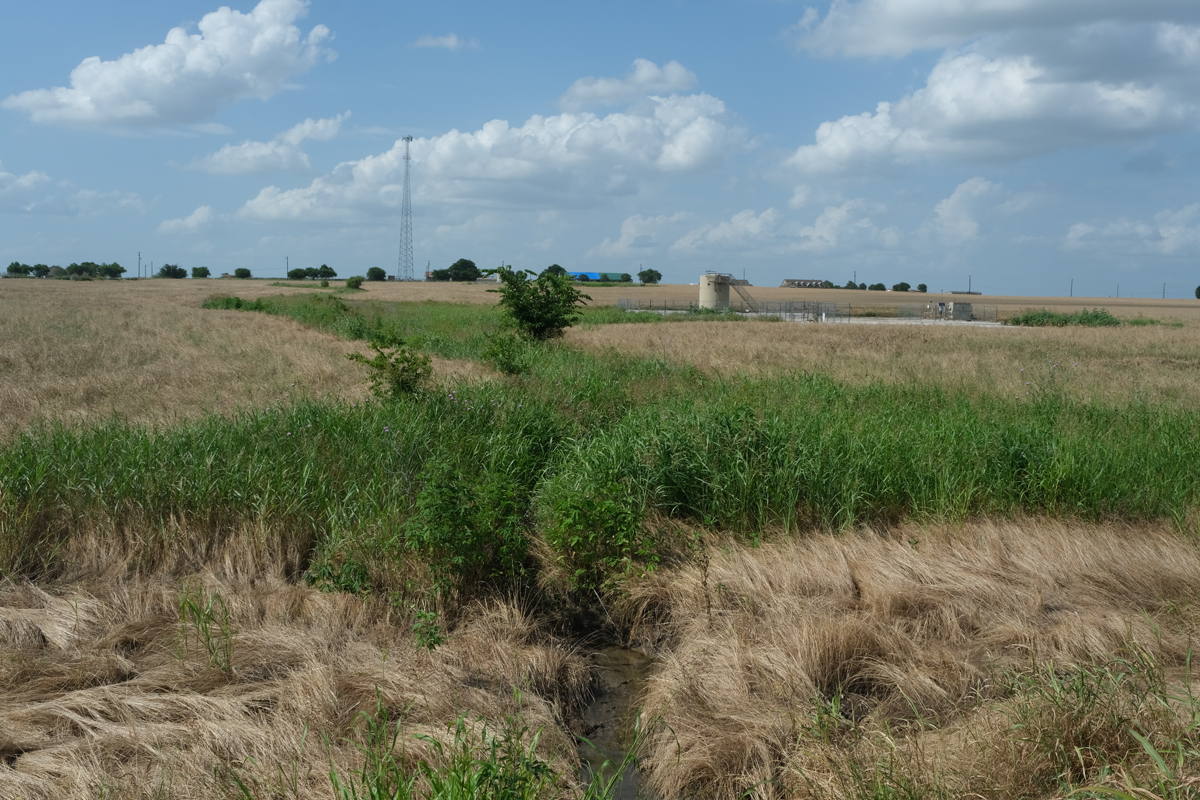 Photo of a roadside by Vahid Valikhani.