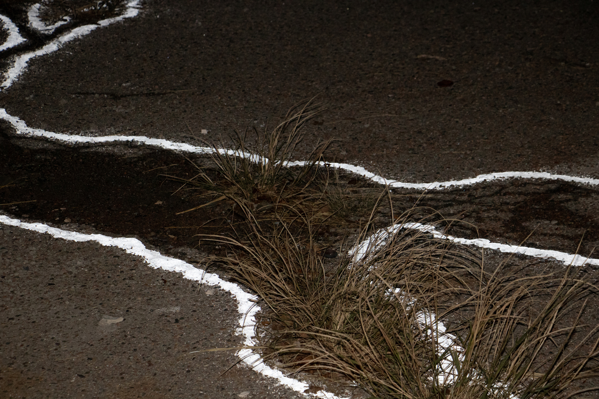 Retro-reflective glass highway safety beads, corn starch, house paint, cracks in the parking lot’s concrete, grass