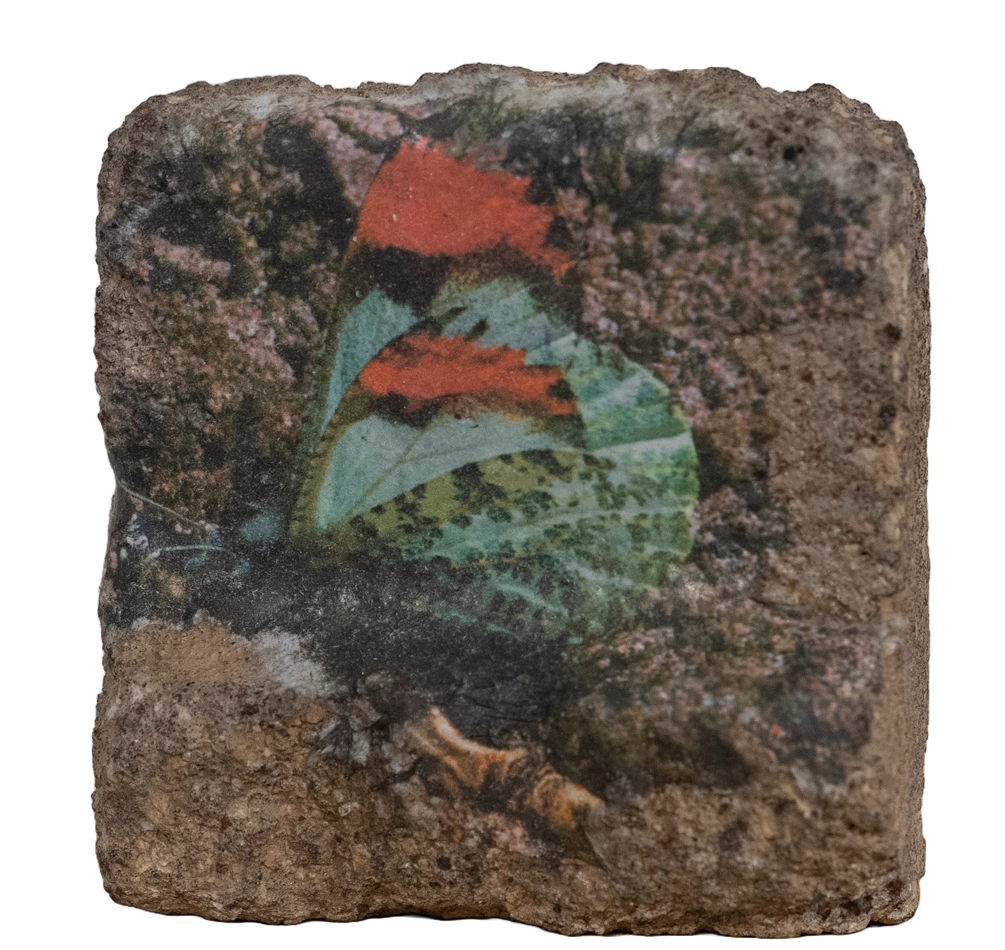 Adelaide Theriault artwork