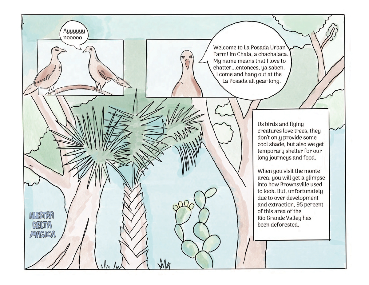 Comic illustration by Nansi Guevara.