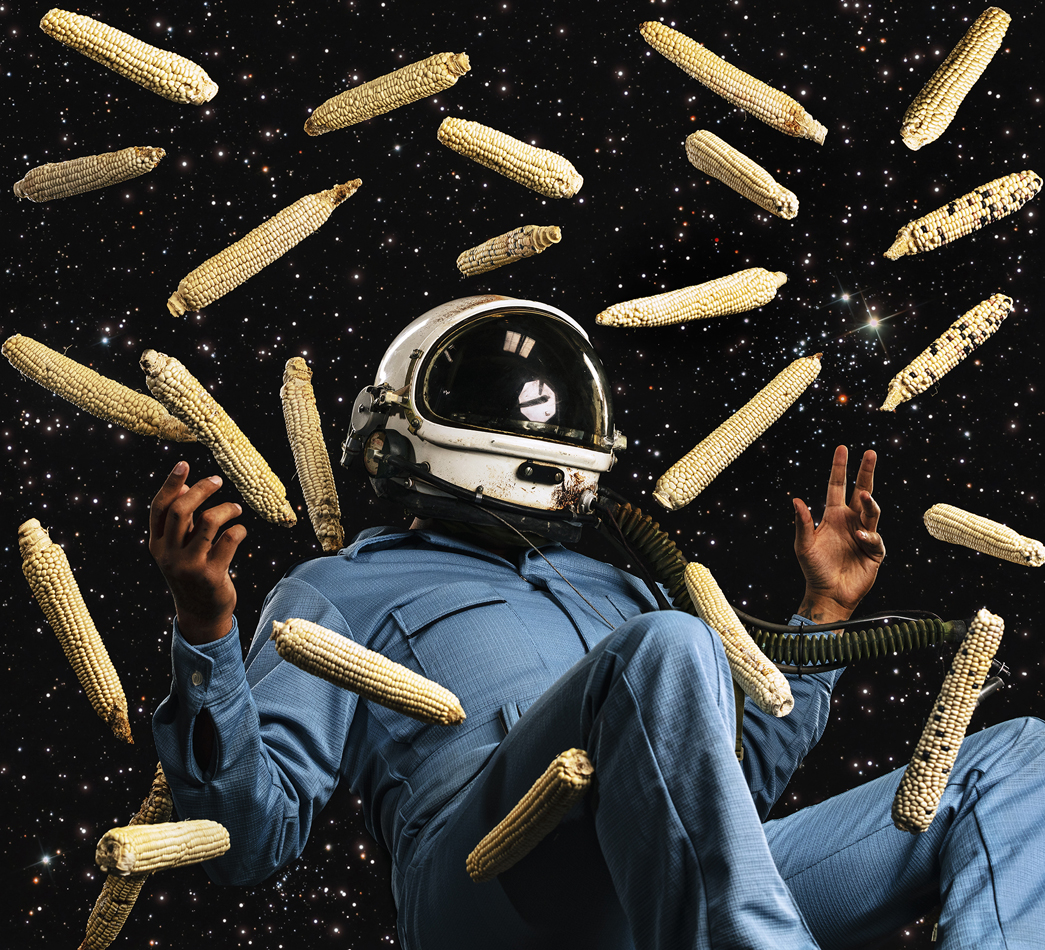 Portrait of an astronaut with ears of corn floating around.