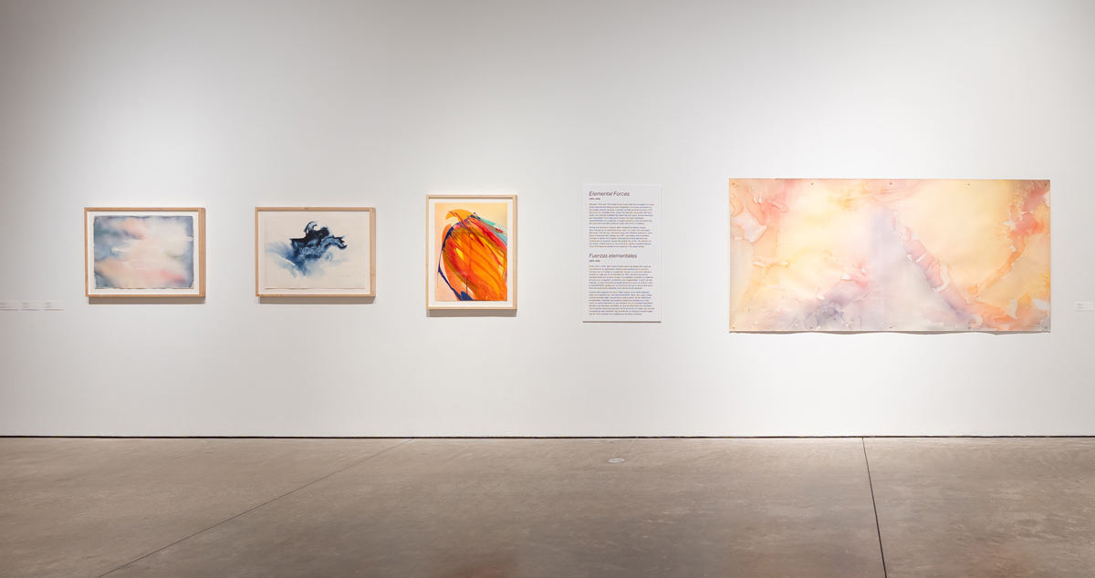 Installation view of artworks by Beth Ames Swartz in Tender Alchemy at Scottsdale Museum of Contemporary Art.