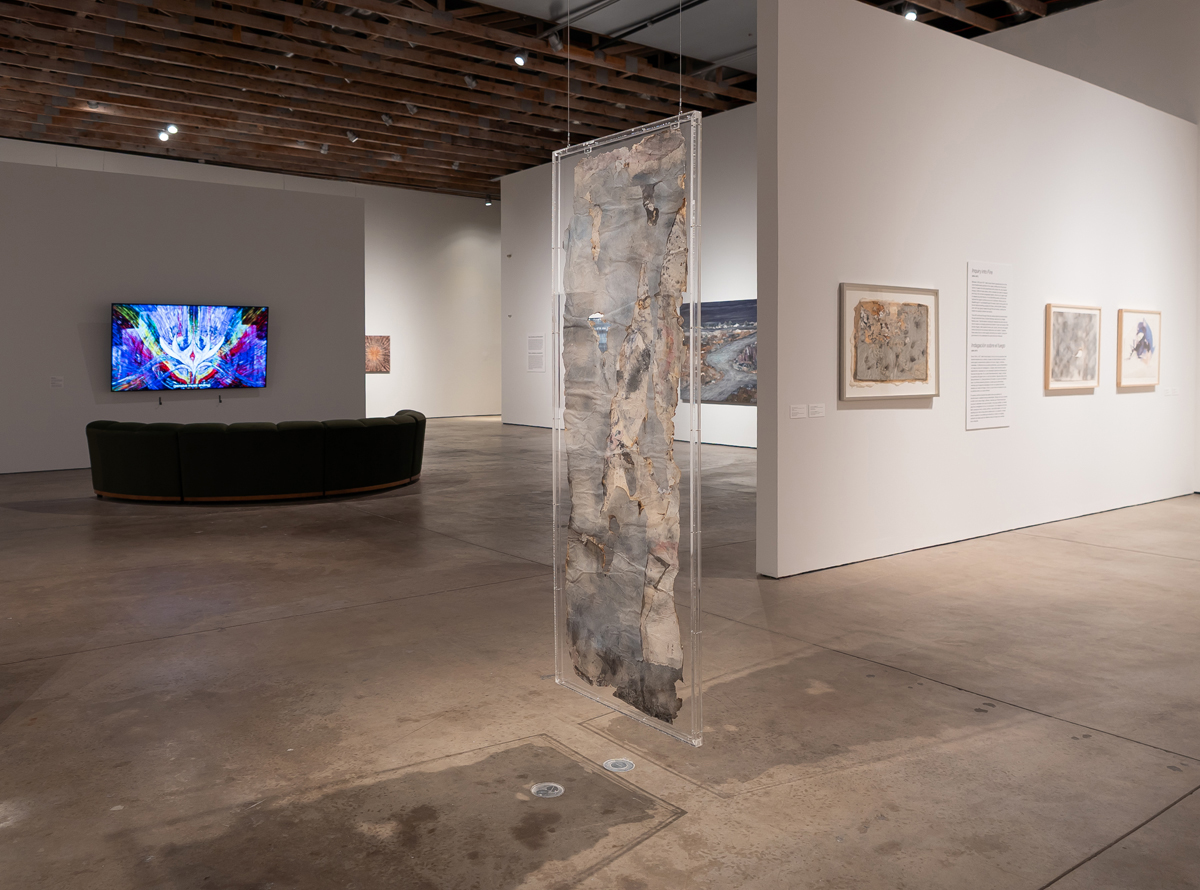 Installation view of a suspended artwork by Beth Ames Swartz in Tender Alchemy at Scottsdale Museum of Contemporary Art.