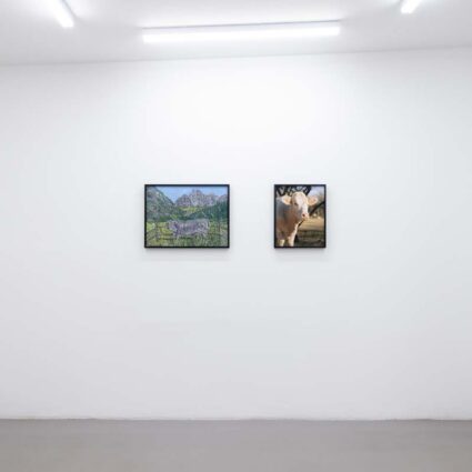 Installation View of Jocko Weyland and Cassidy Araiza