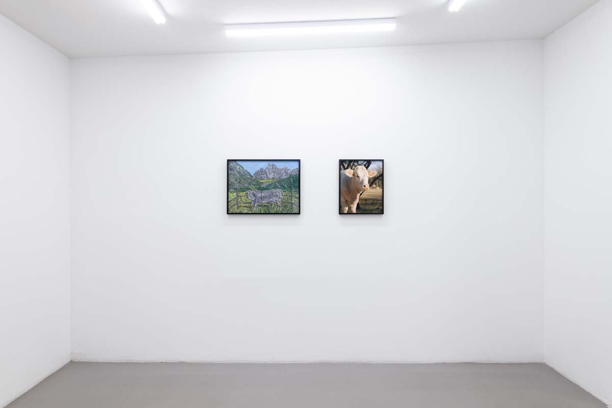 Installation View of Jocko Weyland and Cassidy Araiza