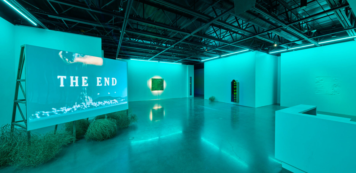 Installation view of an exhibition by Cara Despain, curated by Marisa Sage, in Las Cruces, New Mexico.