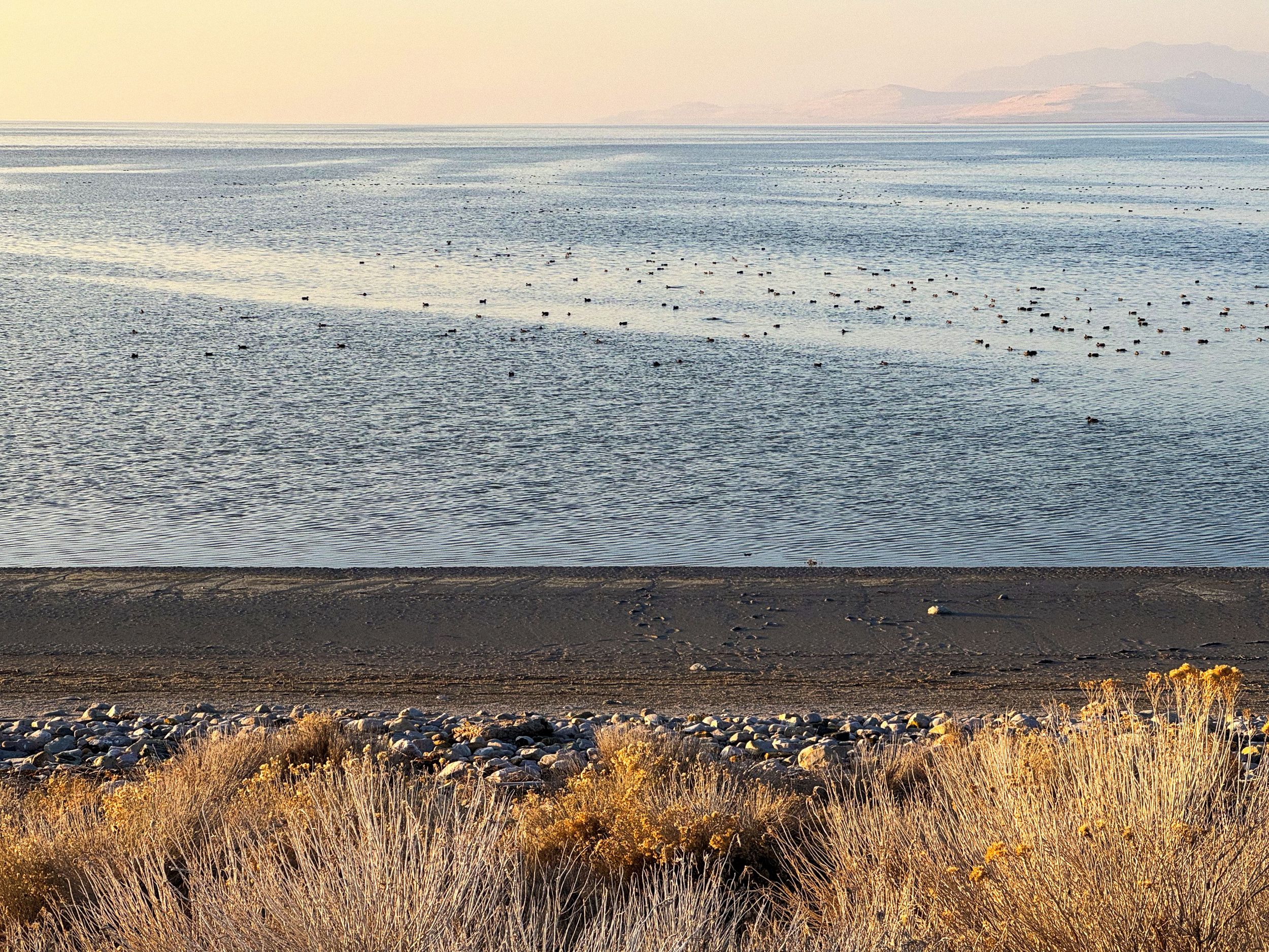 Photograph of the Great Salt Lake by Alfredo Jaar.