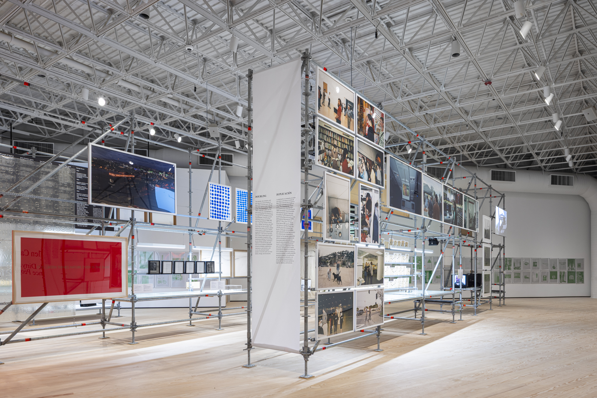 Installation view of Mary Ellen Carroll career survey