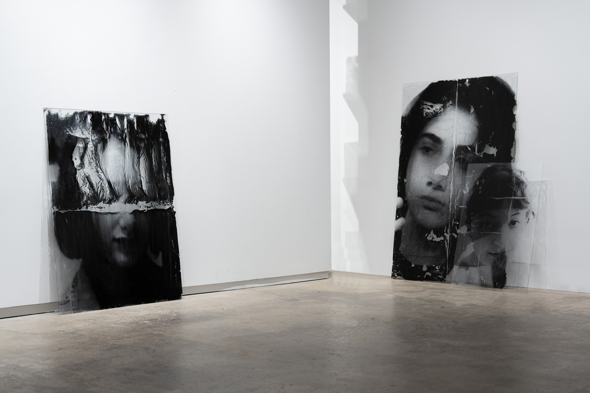 Installation views of the Garden series by Mehrdad Mirzaie.